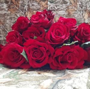 Meet your Posher, Destinie